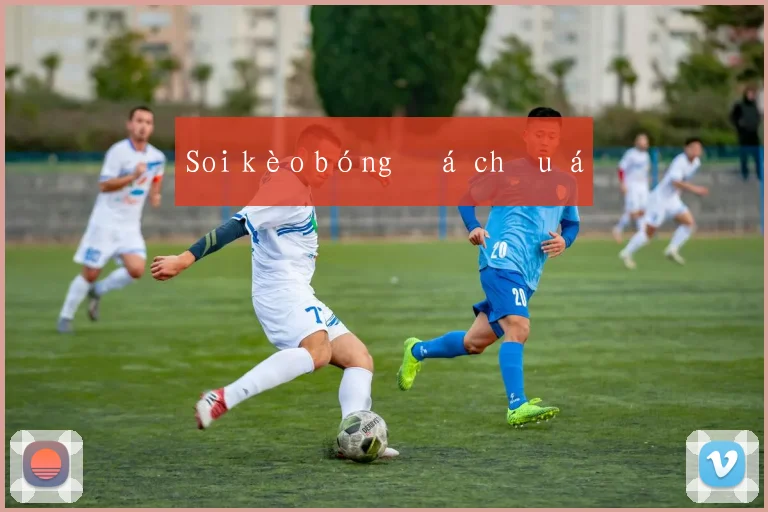 Soi kèo bóng đá châu á
